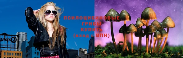 дживик Дмитров