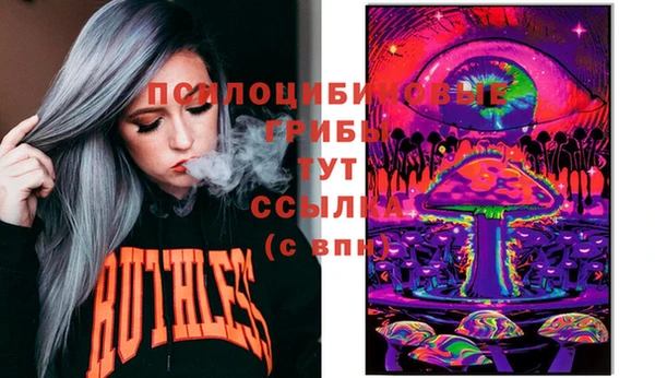 дживик Дмитров