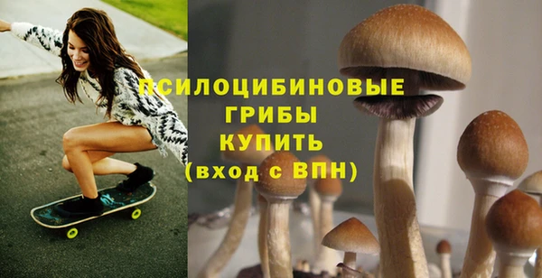 кристаллы Дмитриев