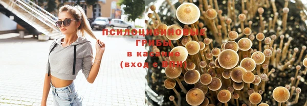 кристаллы Дмитриев